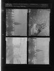Greenville snow scenes (4 Negatives (December 12, 1958) [Sleeve 30, Folder d, Box 16]